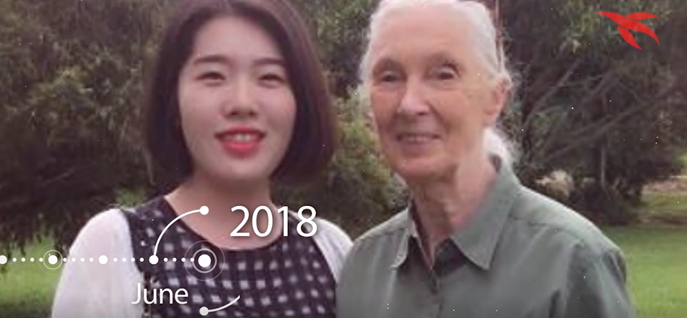 简·古道尔博士南京旅游创始人野生动物保护合作乌干达黑猩猩保护